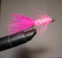 ���� Woolly Bugger  pink � 8 